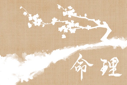 择吉皇历 老皇历 择吉2026皇历